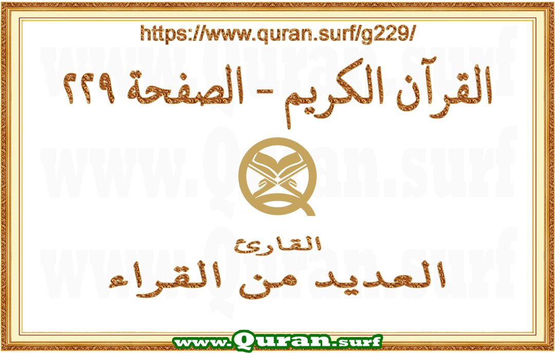 Holy Qur'an Page 229 | Text Highlighting Vertical Videos on Holy Qur'an Recitation
