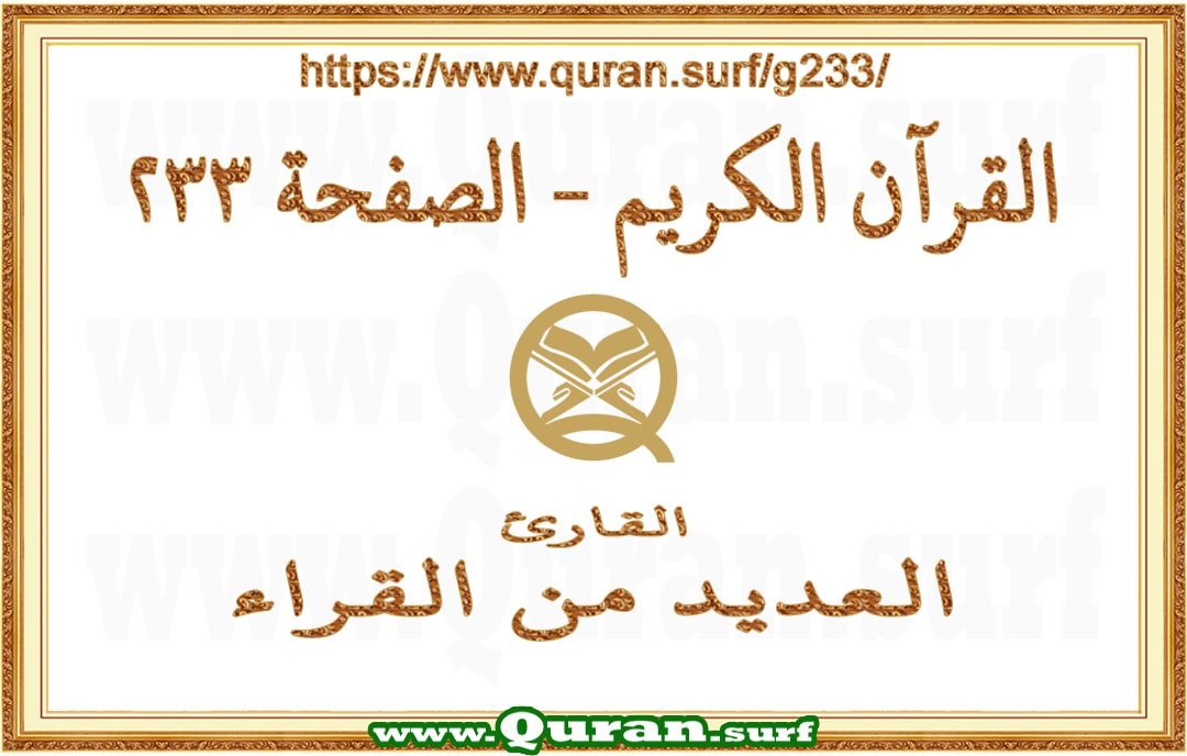 Holy Qur'an Page 233 | Text Highlighting Vertical Videos on Holy Qur'an Recitation