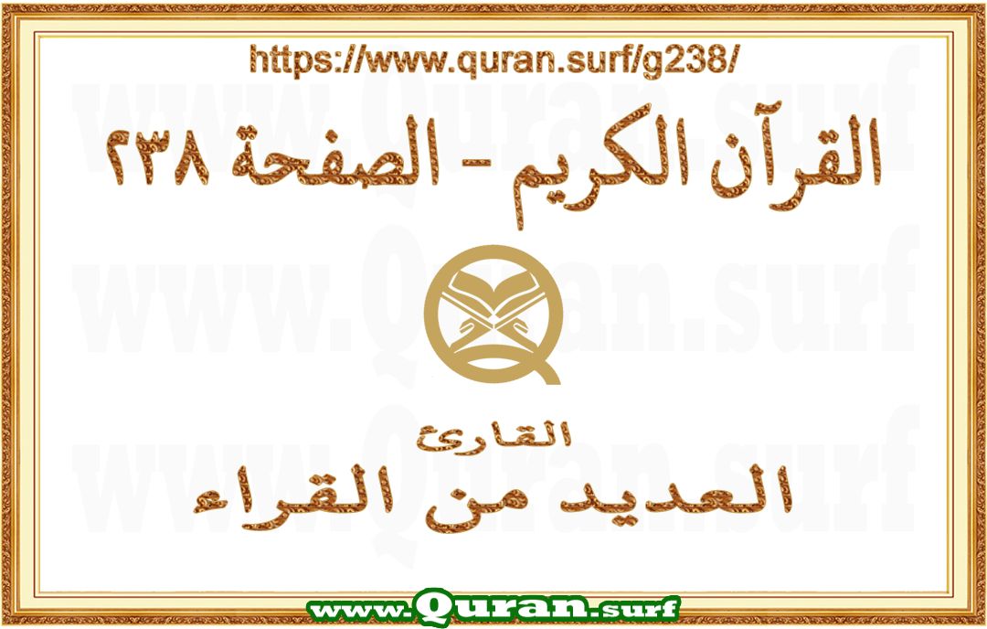 Holy Qur'an Page 238 | Text Highlighting Vertical Videos on Holy Qur'an Recitation